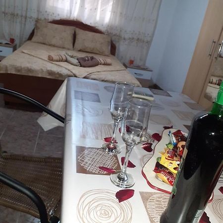 Studio-Apartman Milena 2 Podgorica Exterior photo